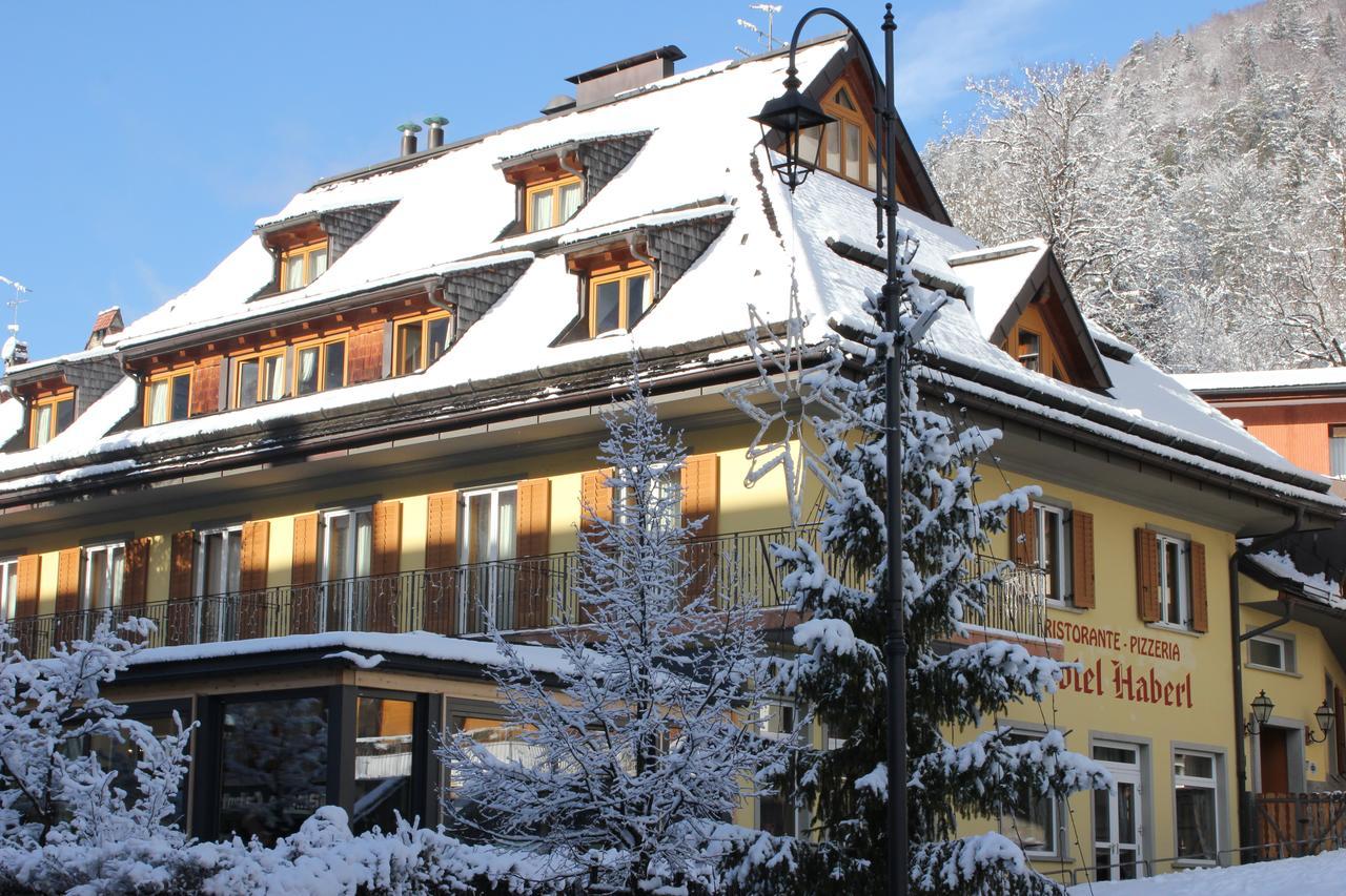 Hotel Haberl Tarvisio Buitenkant foto